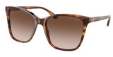 Ralph Lauren Sunglasses RL8201 500713