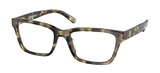 Striped Olive Tortoise / Clear