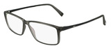 Zeiss Eyeglasses ZS20001 220
