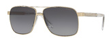 Versace Sunglasses VE2174 1252T3