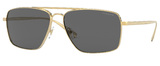 Versace Sunglasses VE2216 100287