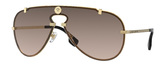 Versace Sunglasses VE2243 100213