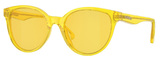 Versace Sunglasses VK4427U 5374C9