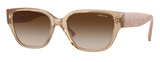 Vogue Sunglasses VO5459SB 282613
