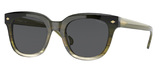 Vogue Sunglasses VO5408S 297087