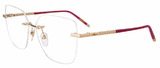 Chopard Eyeglasses VCHG25M 300Y