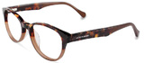 Lucky Brand Eyeglasses D202 0BRO