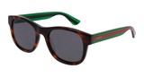 Gucci Sunglasses GG0003SN 003
