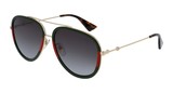 Gucci Sunglasses GG0062S 003
