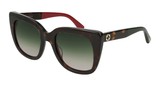 Gucci Sunglasses GG0163S 004