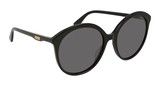Gucci Sunglasses GG0257S 001