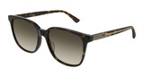 Gucci Sunglasses GG0376SN 002