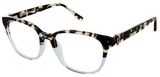 Juicy Couture Eyeglasses JU 244 0086