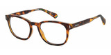 Polaroid Eyeglasses PLD D453 0086