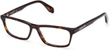 Adidas Originals Eyeglasses OR5042 052