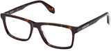 Adidas Originals Eyeglasses OR5044 052