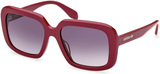 Adidas Originals Sunglasses OR0065 81B