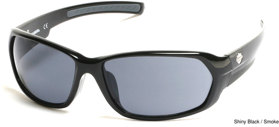 Harley Replacement Lenses 93501