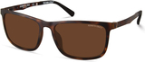 Kenneth Cole New York Sunglasses KC7260 52H