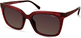 Kenneth Cole New York Sunglasses KC7269 72F