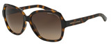 Armani Exchange Sunglasses AX4029S 811713