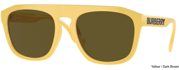 Burberry Sunglasses BE4396U Wren 407073