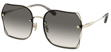 Coach Sunglasses HC7150D Ch574 900511