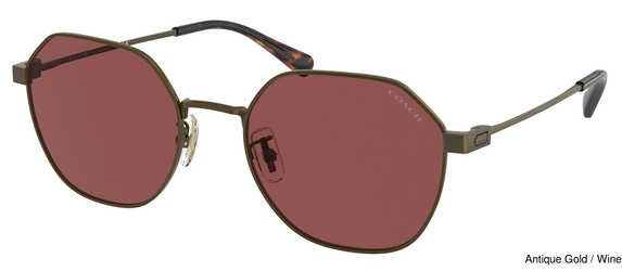 Coach Replacement Lenses 95272