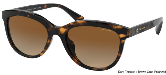 Sunglass Replacement Lenses 95280