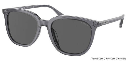 Coach Replacement Lenses 95285