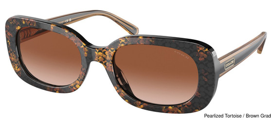 Coach Replacement Lenses 95289