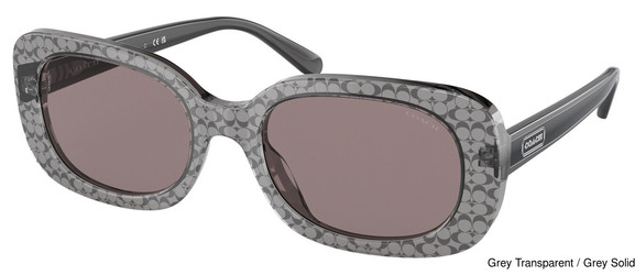Coach Replacement Lenses 95291