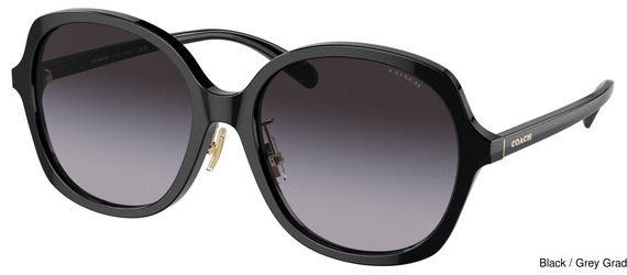 Coach Replacement Lenses 95294