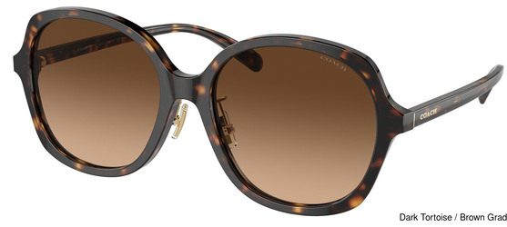 Coach Replacement Lenses 95296