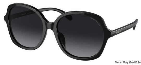 Coach Replacement Lenses 95298