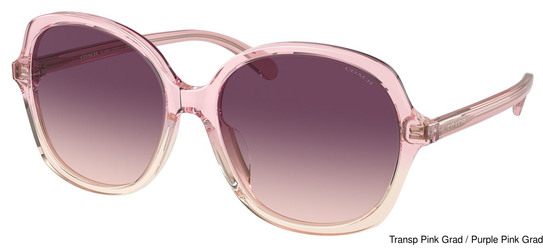 Coach Replacement Lenses 95300