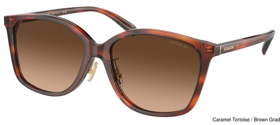 Coach Replacement Lenses 95303