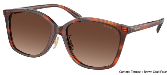 Coach Replacement Lenses 95305