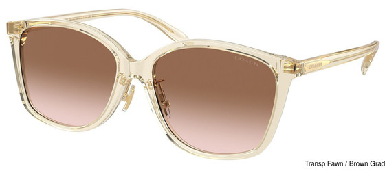 Coach Replacement Lenses 95306