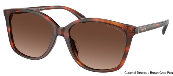 Coach Replacement Lenses 95308