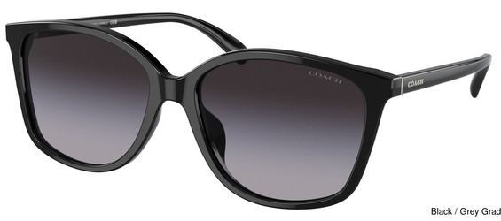 Coach Replacement Lenses 95312