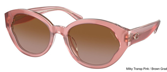 Coach Replacement Lenses 95320