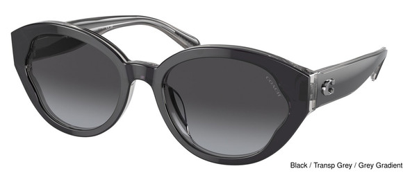Coach Replacement Lenses 95323