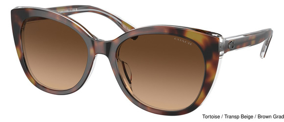 Coach Replacement Lenses 95325