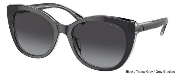 Coach Replacement Lenses 95327