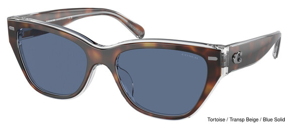 Coach Replacement Lenses 95337