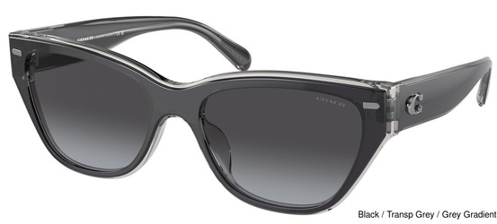 Coach Replacement Lenses 95338