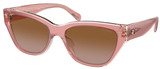 Coach Sunglasses HC8370F Ch660 574313