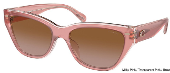 Coach Replacement Lenses 95339