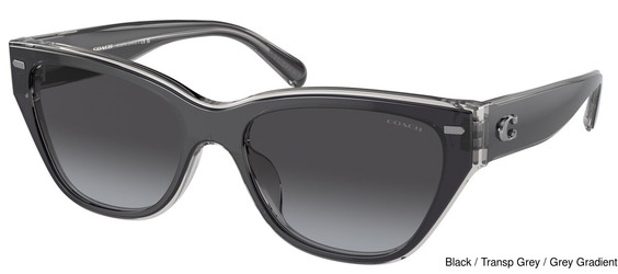 Coach Replacement Lenses 95344
